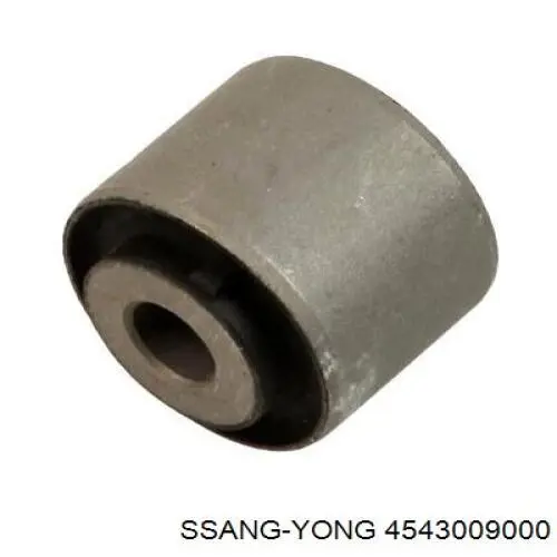 4543009000 Ssang Yong