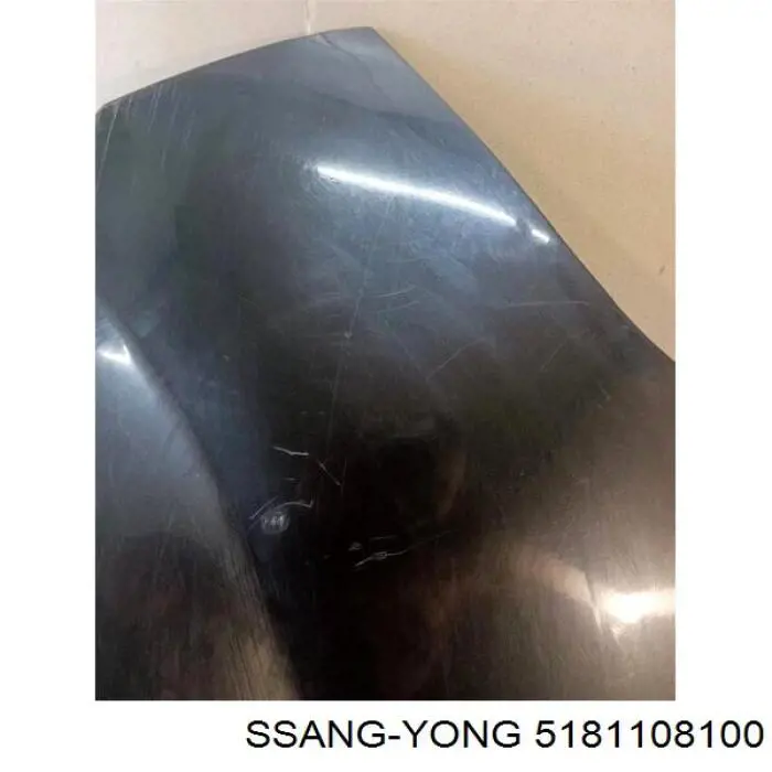 Купить 5181108100 Ssang Yong Крыло переднее левое