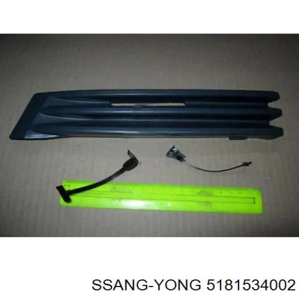  5181534002 Ssang Yong