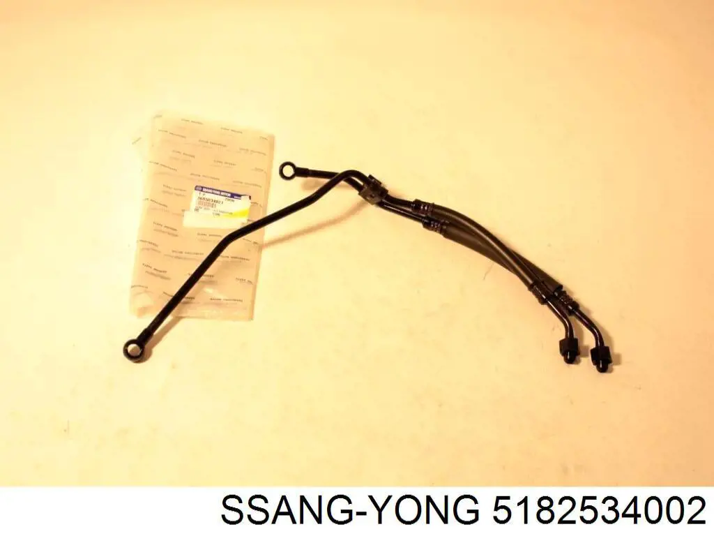  5182534002 Ssang Yong