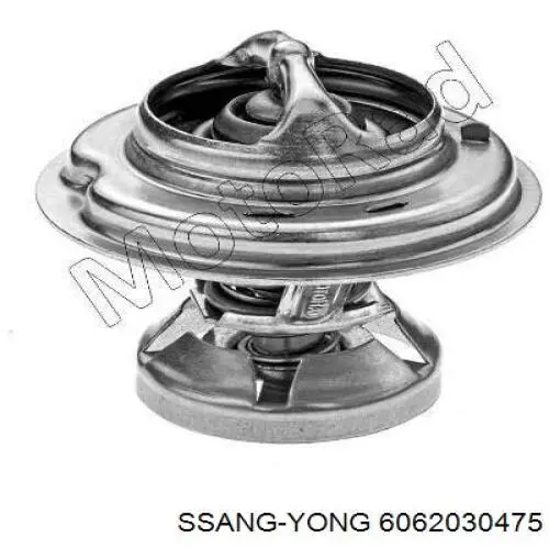 Купить 6062030475 Ssang Yong Автомобильный термостат