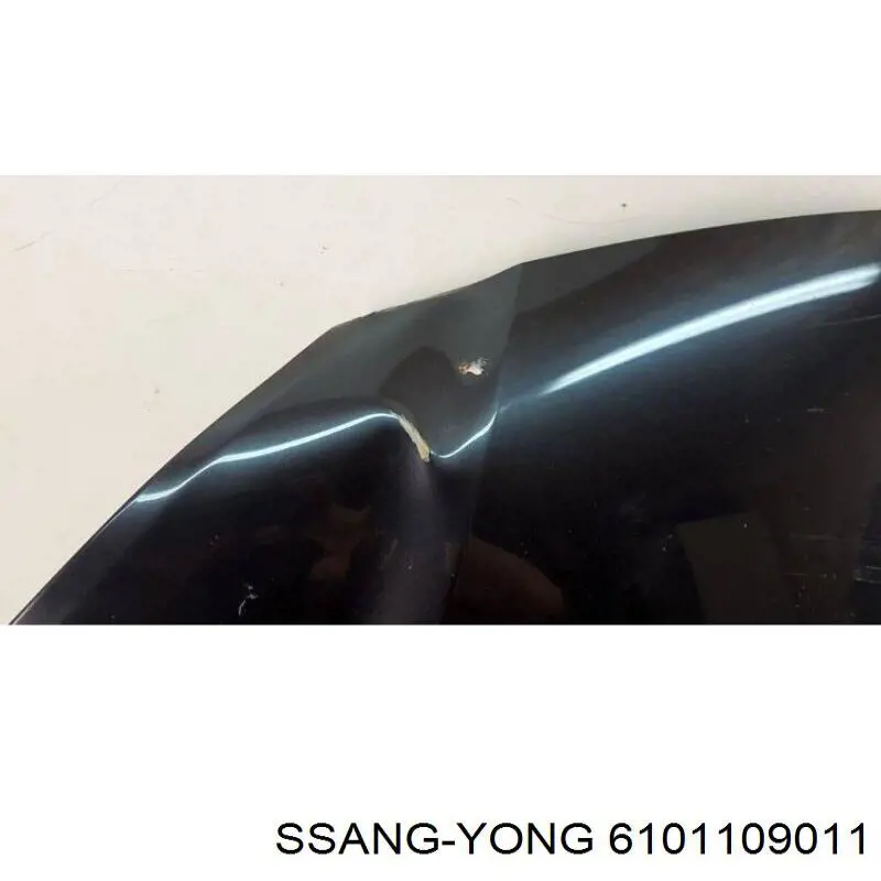 6101109010 Ssang Yong Капот