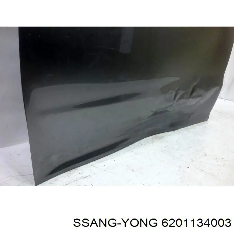 6201134003 Ssang Yong Водительская дверь