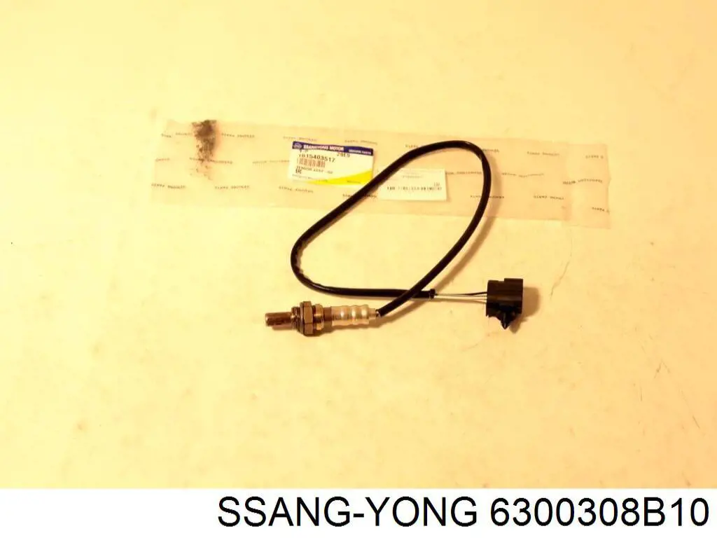 6300308B10 Ssang Yong Дверь пассажирская задняя левая