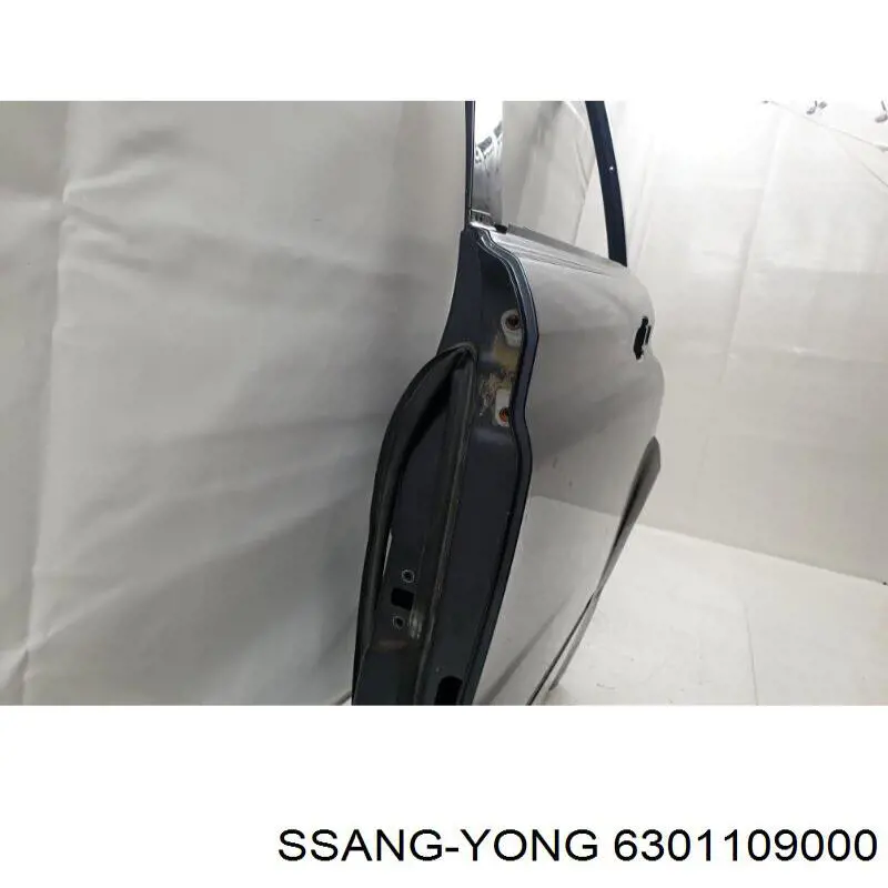 Купить 6301109A00 Ssang Yong Дверь задняя