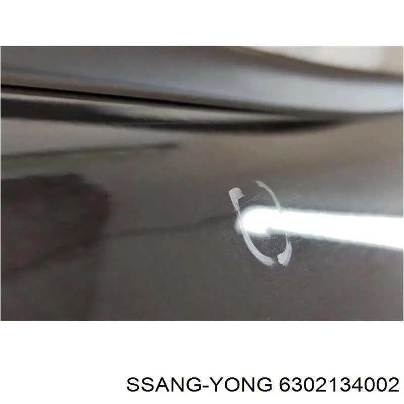 Дверь пассажирская задняя правая Ssang Yong 6302134002 цена, от 165.54 USD