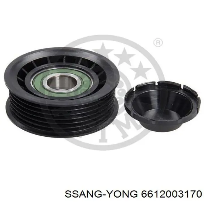 Паразитный ролик 6612003170 Ssang Yong