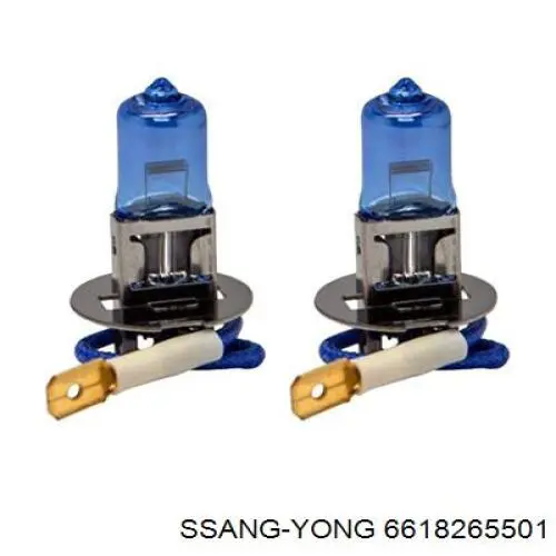 6618265501 Ssang Yong 