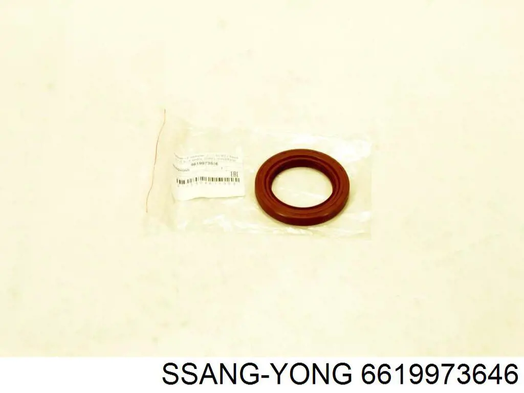 6619973646 Ssang Yong