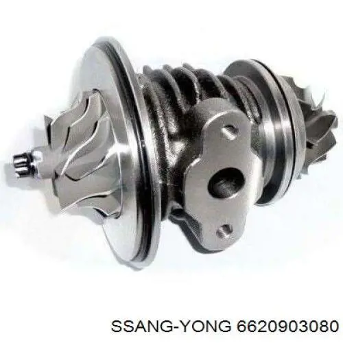 6620903080 Ssang Yong турбина
