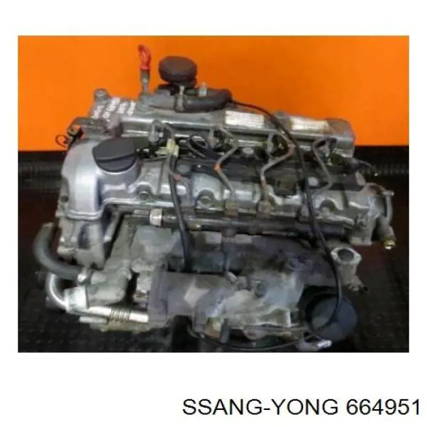 664951 Ssang Yong 