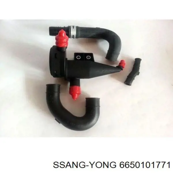 6650101771 Ssang Yong 