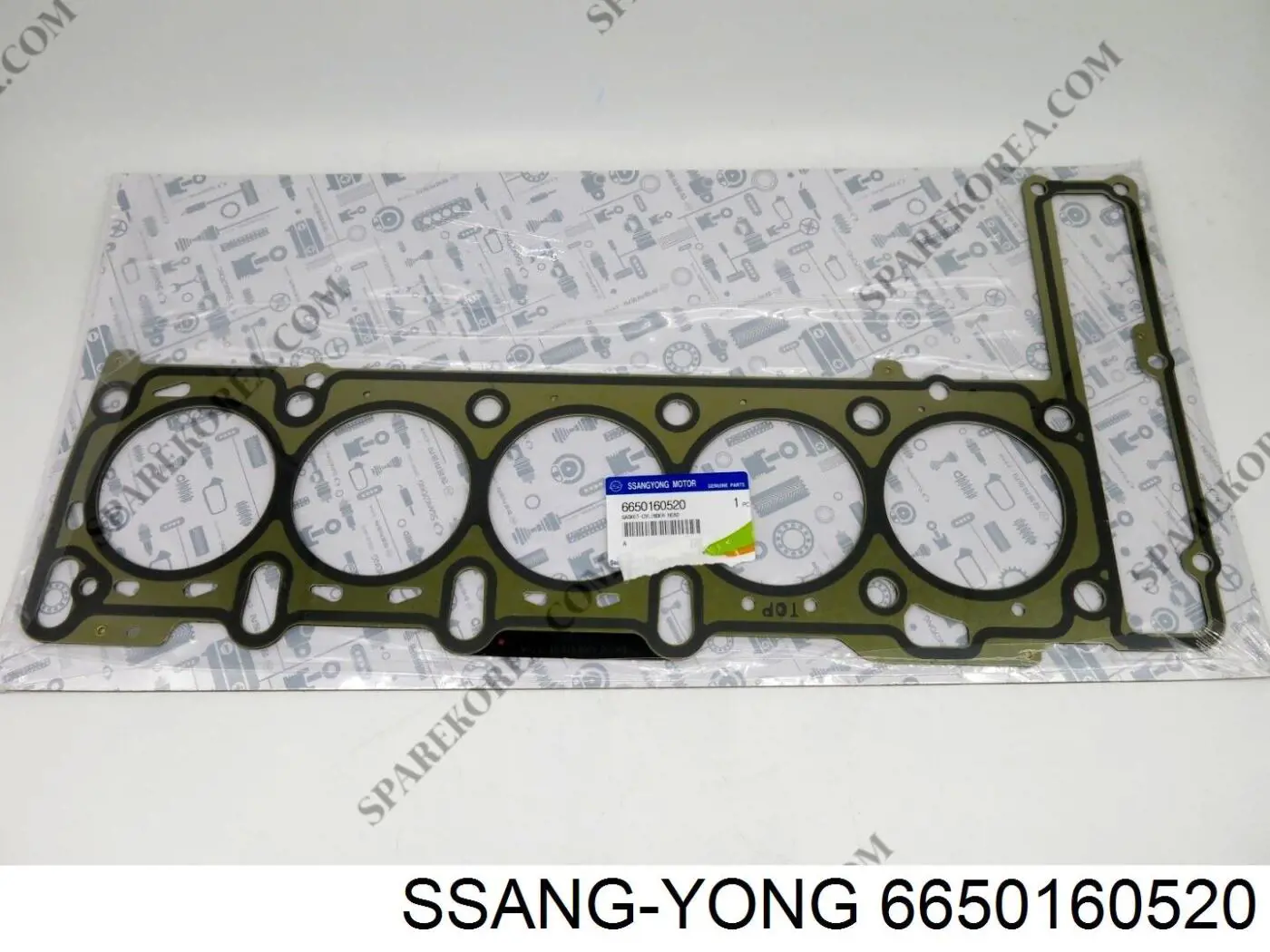 6650160520 Ssang Yong vedante de cabeça de motor (cbc)