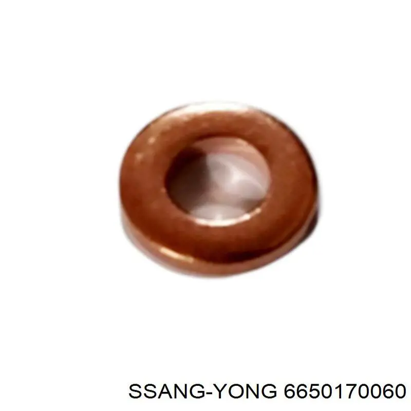 6650170060 Ssang Yong кольцо (шайба форсунки инжектора посадочное)