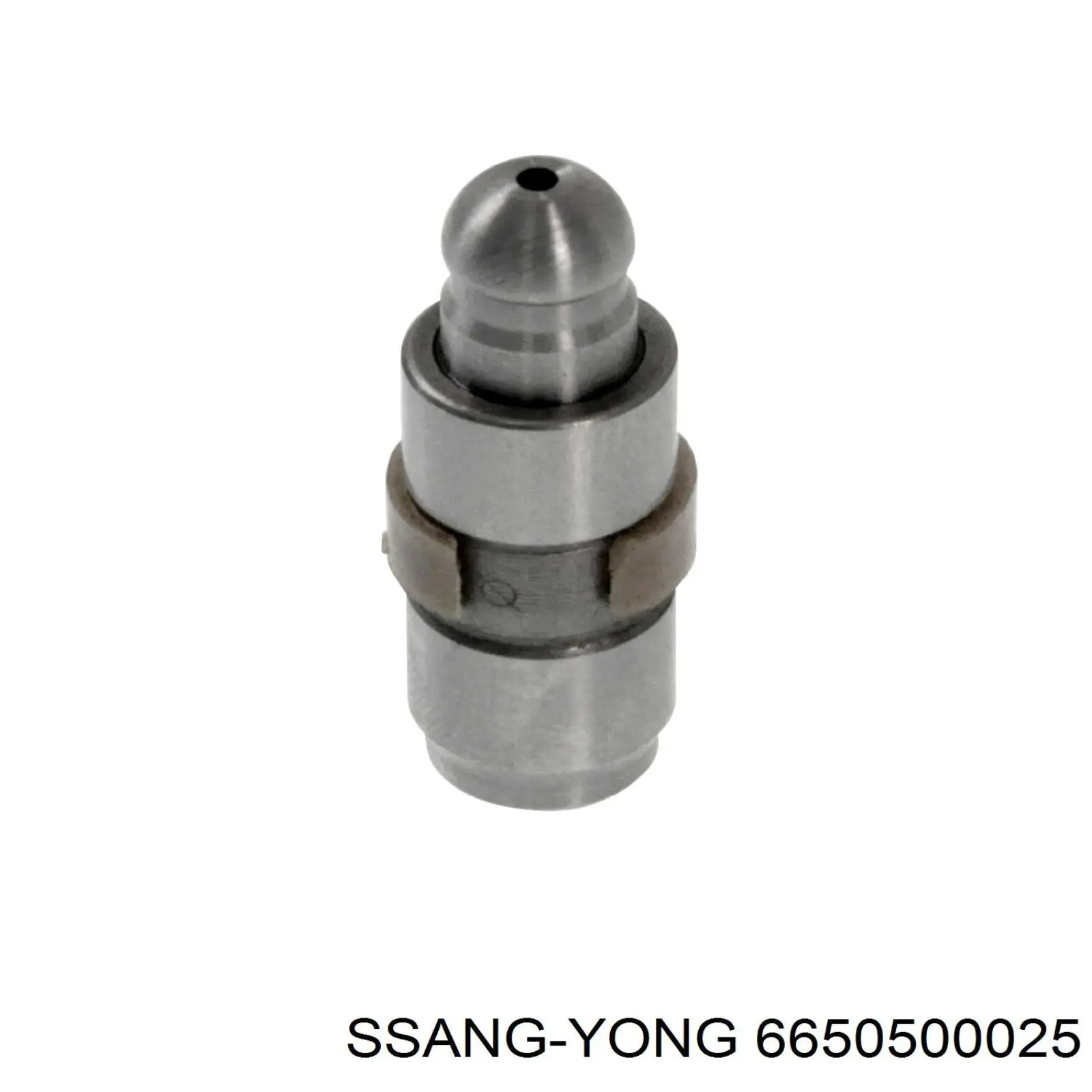 6650500025 Ssang Yong compensador hidrâulico (empurrador hidrâulico, empurrador de válvulas)