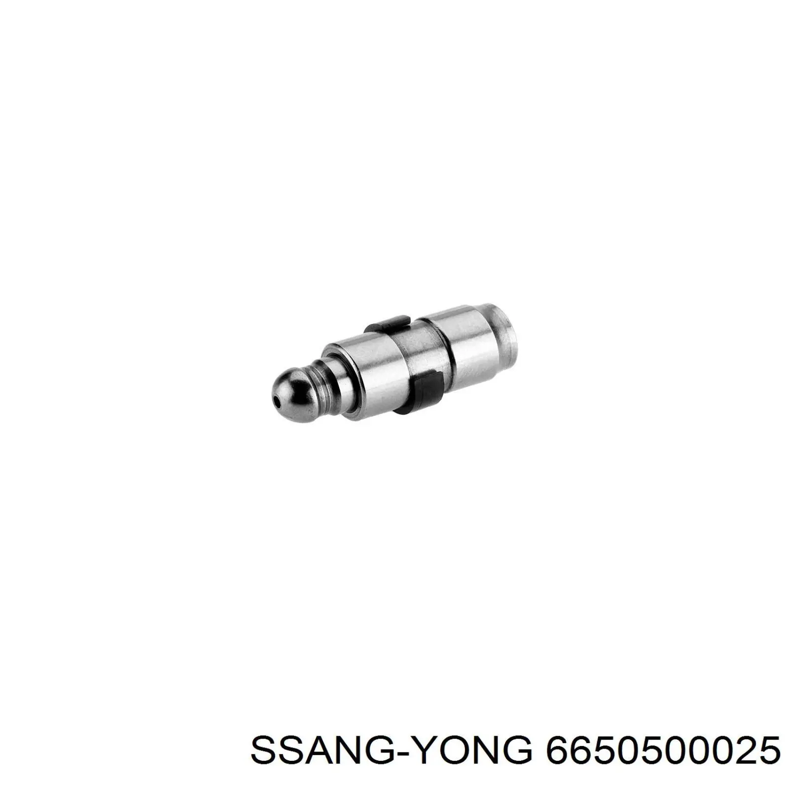 6650500025 Ssang Yong