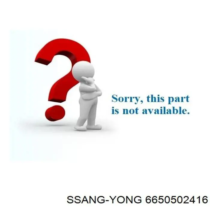 6650502416 Ssang Yong