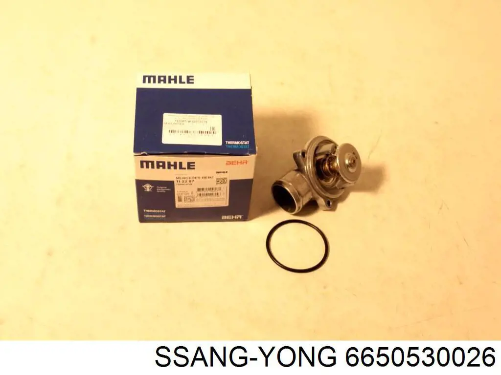  6650530026 Ssang Yong