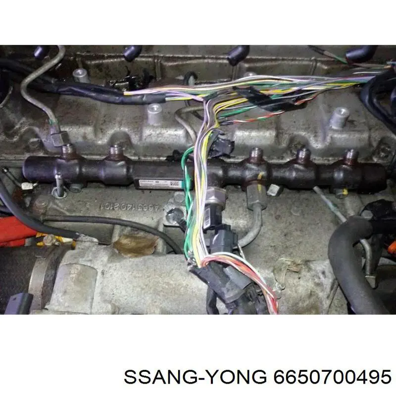 Распределитель топлива (рампа) Ssang Yong 6650700495 цена, от 21.16 USD