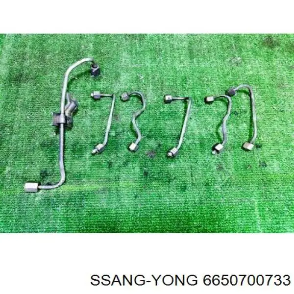  6650702533 Ssang Yong