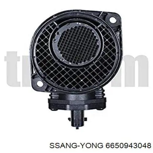 Купить 6650943048 Ssang Yong Воздухомер