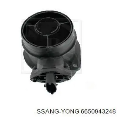 6650943248 Ssang Yong