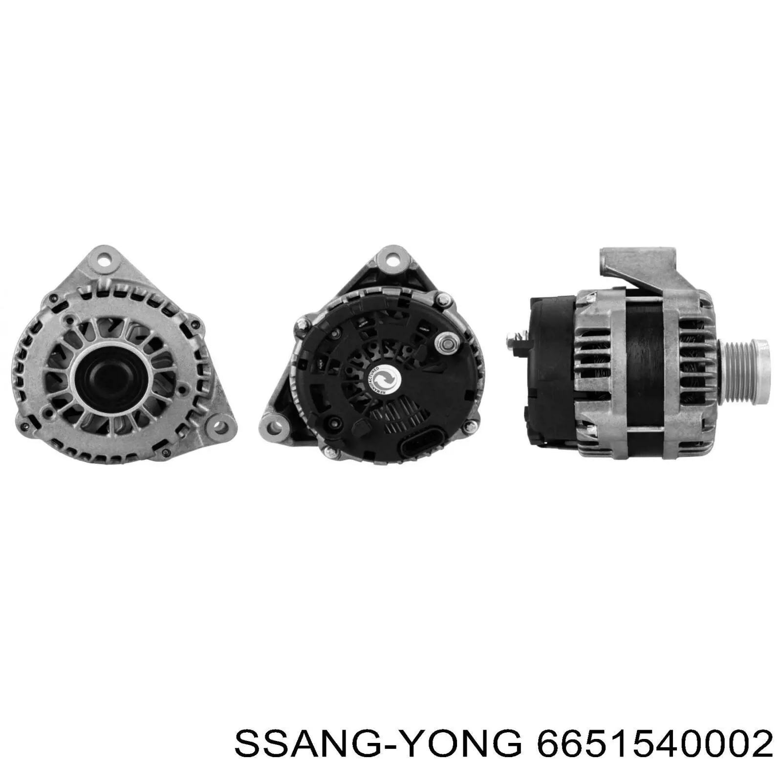 6651540002 Ssang Yong gerador