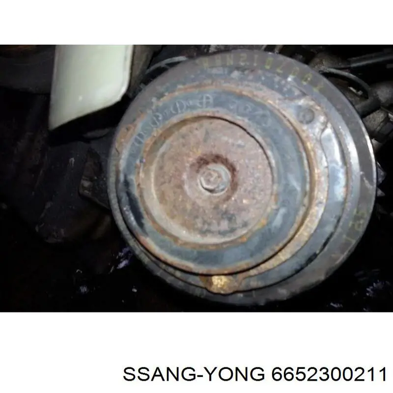 Компрессор кондиционера 6652300211 Ssang Yong