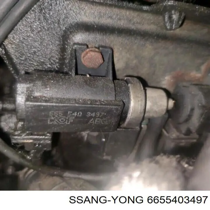 Клапан EGR, рециркуляції газів 6655403497 Ssang Yong