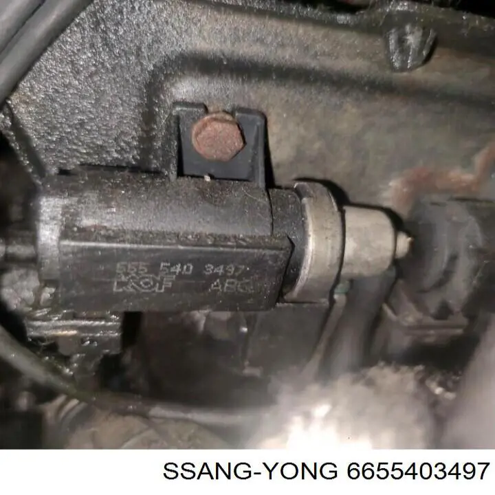 6655403497 Ssang Yong