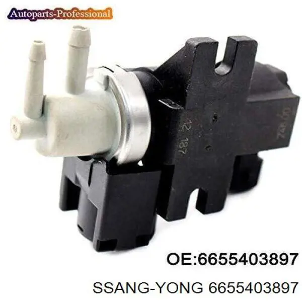 6655403897 Ssang Yong