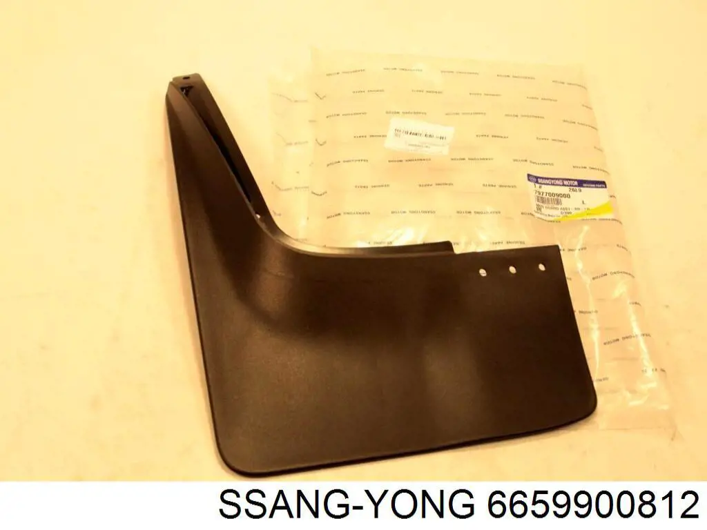  6659903812 Ssang Yong