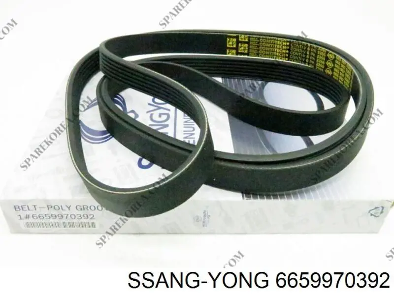 6659970392 Ssang Yong ремень генератора