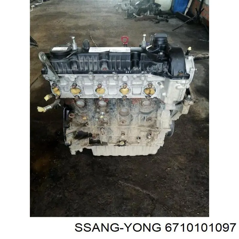  6710101097 Ssang Yong