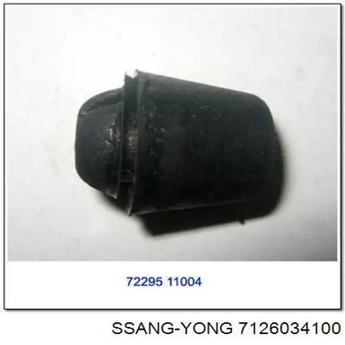 7126034100 Ssang Yong 