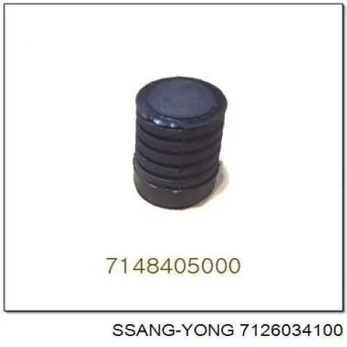 7126034100 Ssang Yong 