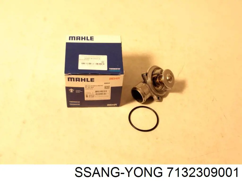  7132309001 Ssang Yong