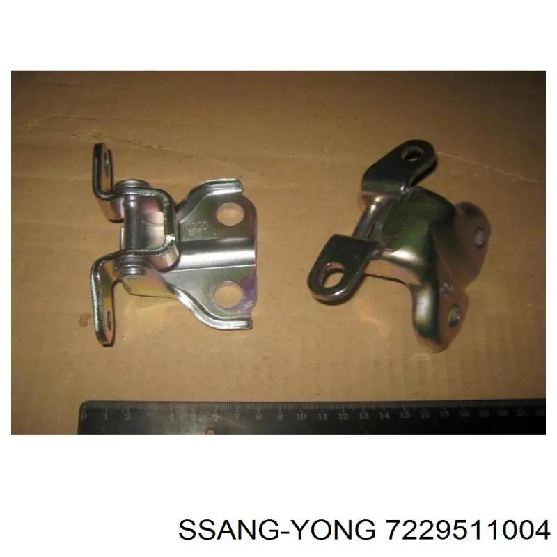 7229511004 Ssang Yong 