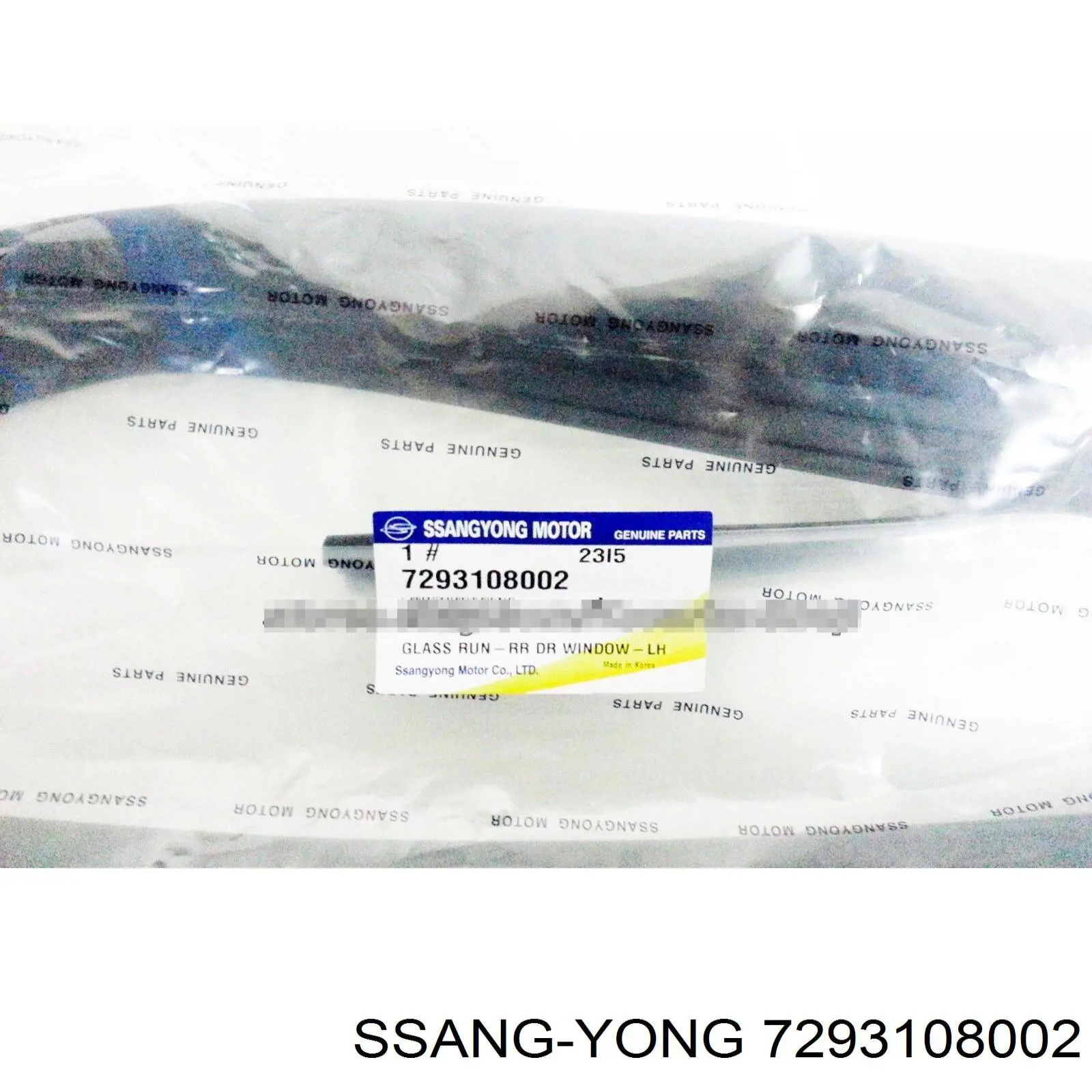 7293108002 Ssang Yong 