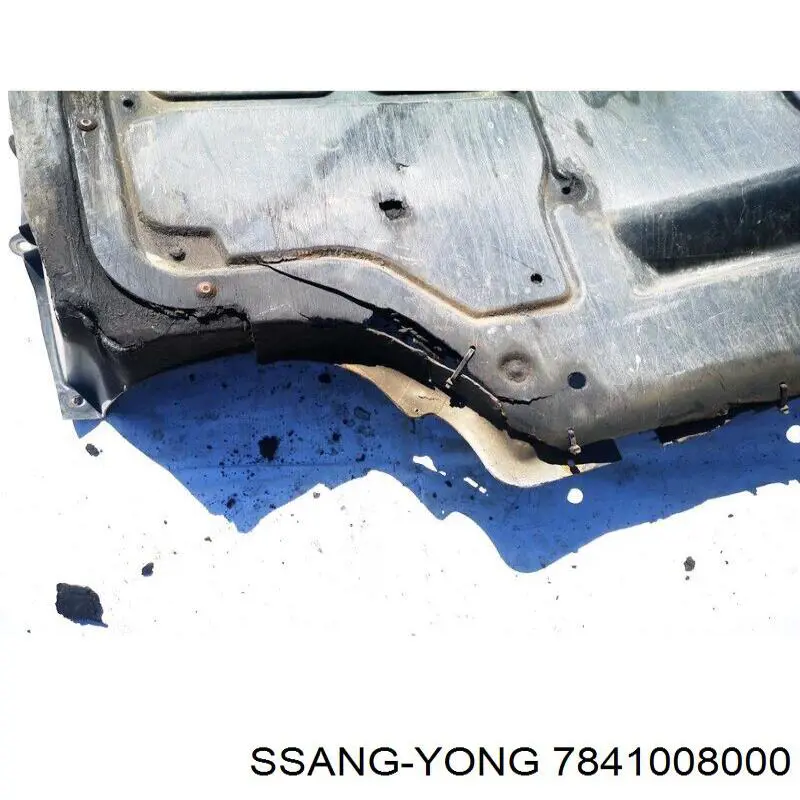 Бачок омывателя лобового стекла SsangYong Rexton I внедорожник (RJ) (2002 - 2006) цена, от 50.23 USD