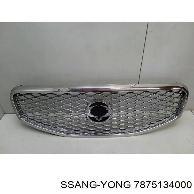 7875134000 Ssang Yong Решетка радиатора