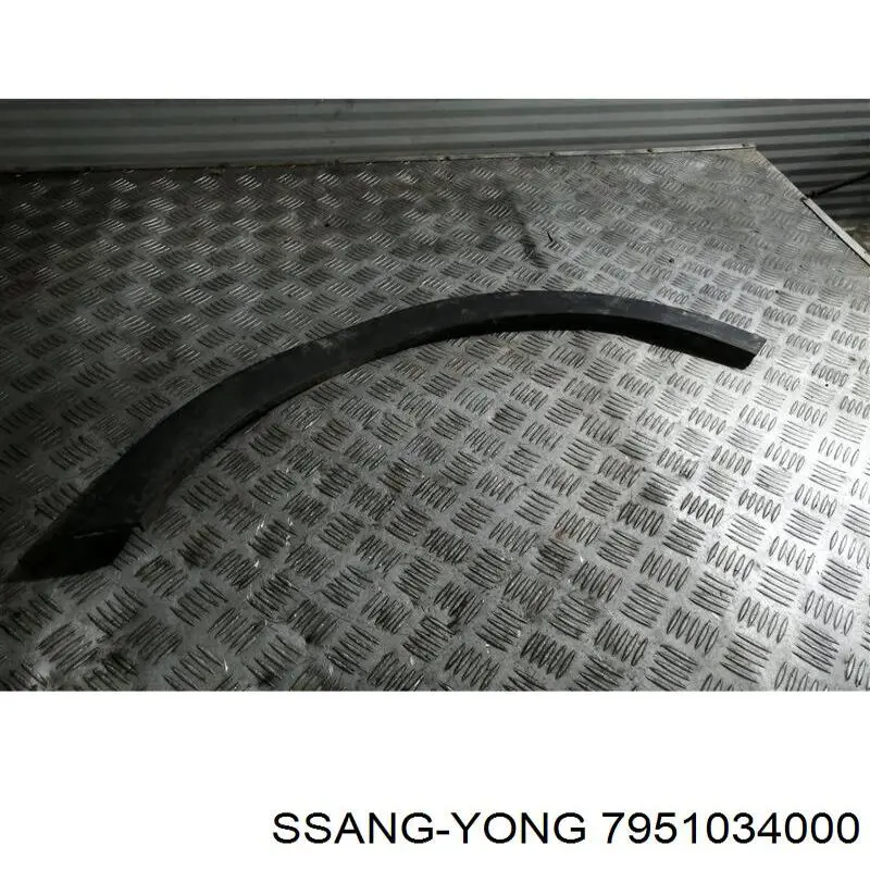 Расширитель (накладка) арки переднего крыла левый Ssang Yong 7951034000 цена, от 26.22 USD