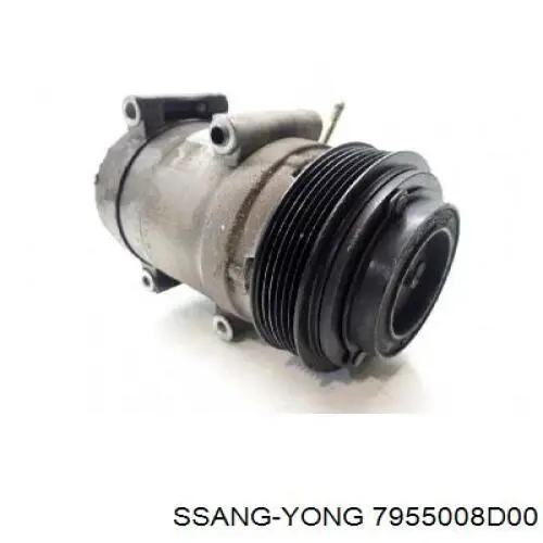  Ssang Yong 7955008D00
