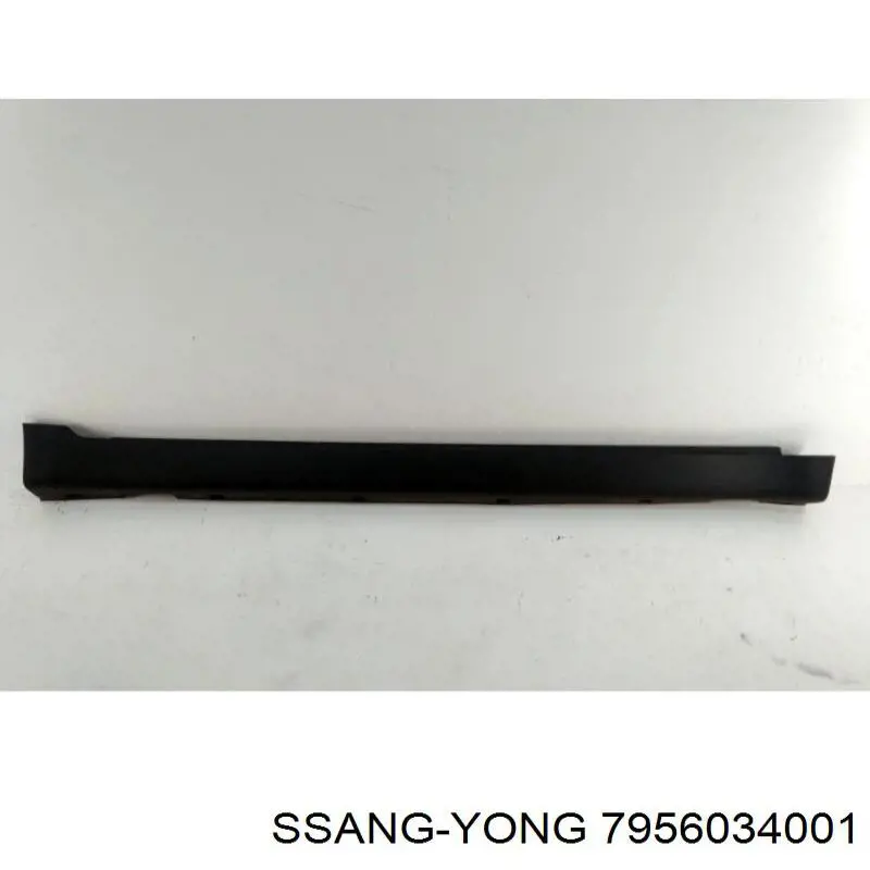 Накладка (молдинг) порога наружная правая Ssang Yong 7956034001 цена, от 22.60 USD