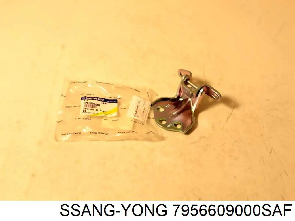 Накладка (молдинг) порога наружная передняя правая Ssang Yong 7956609000SAF цена, от 11.30 USD