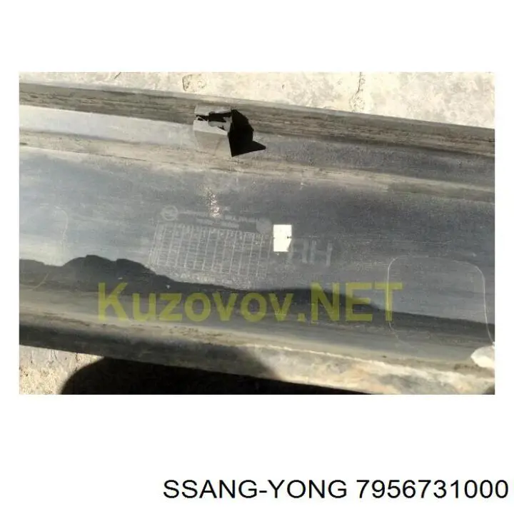  7956731000 Ssang Yong