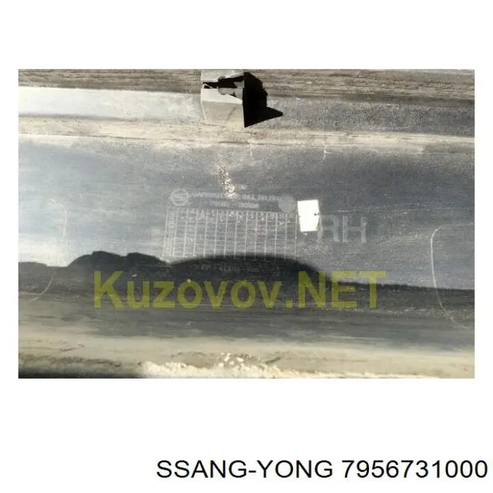  Ssang Yong 7956731000 цена, от 7.06 USD