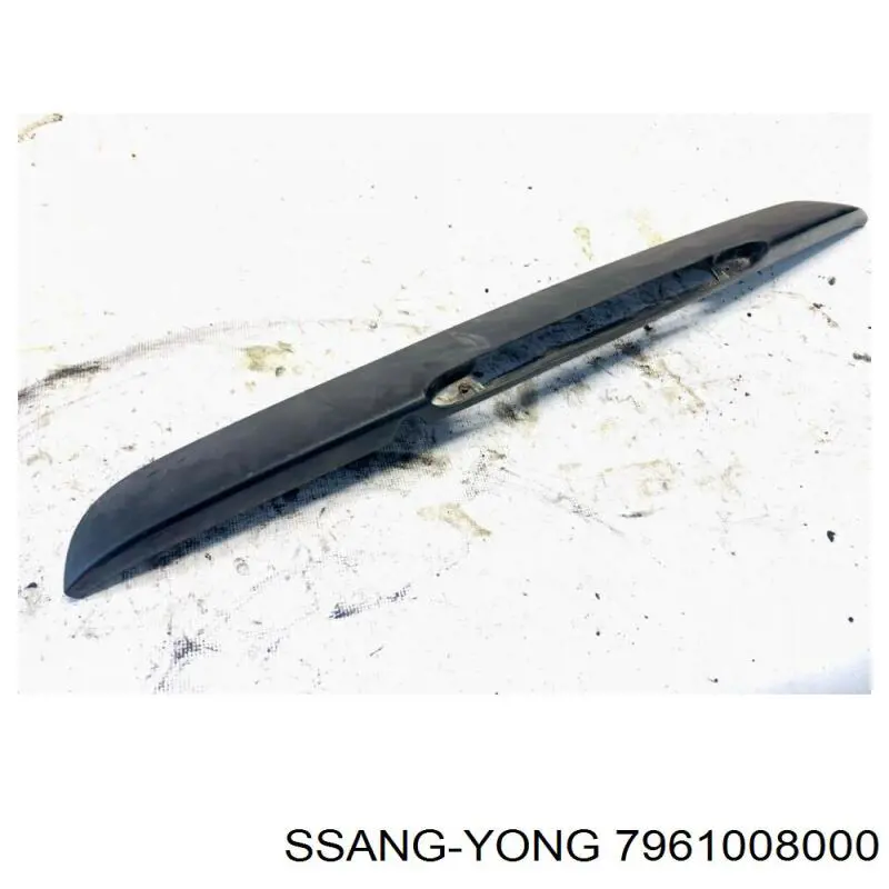 7961008000 Ssang Yong 