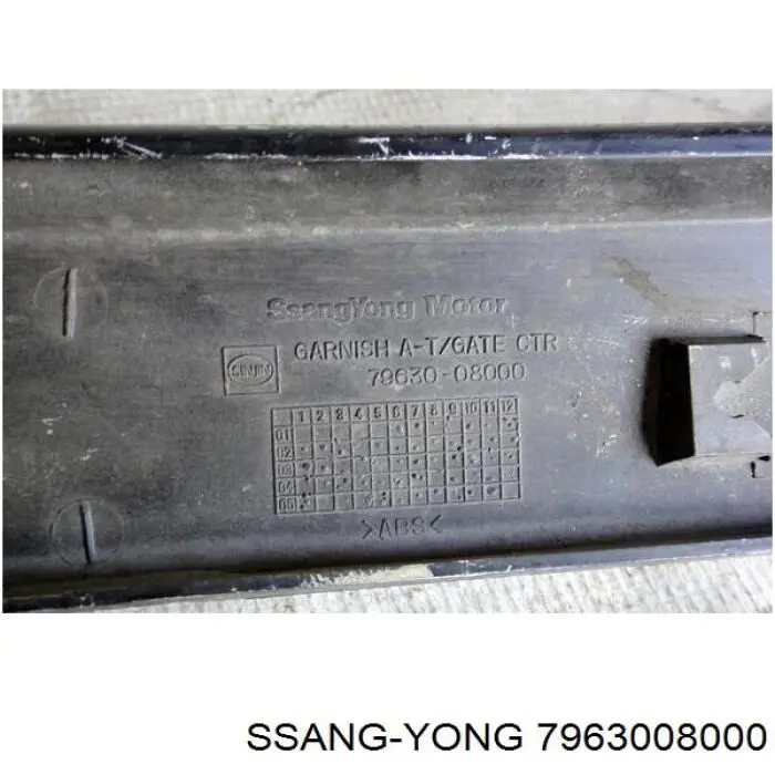 7963008000 Ssang Yong 