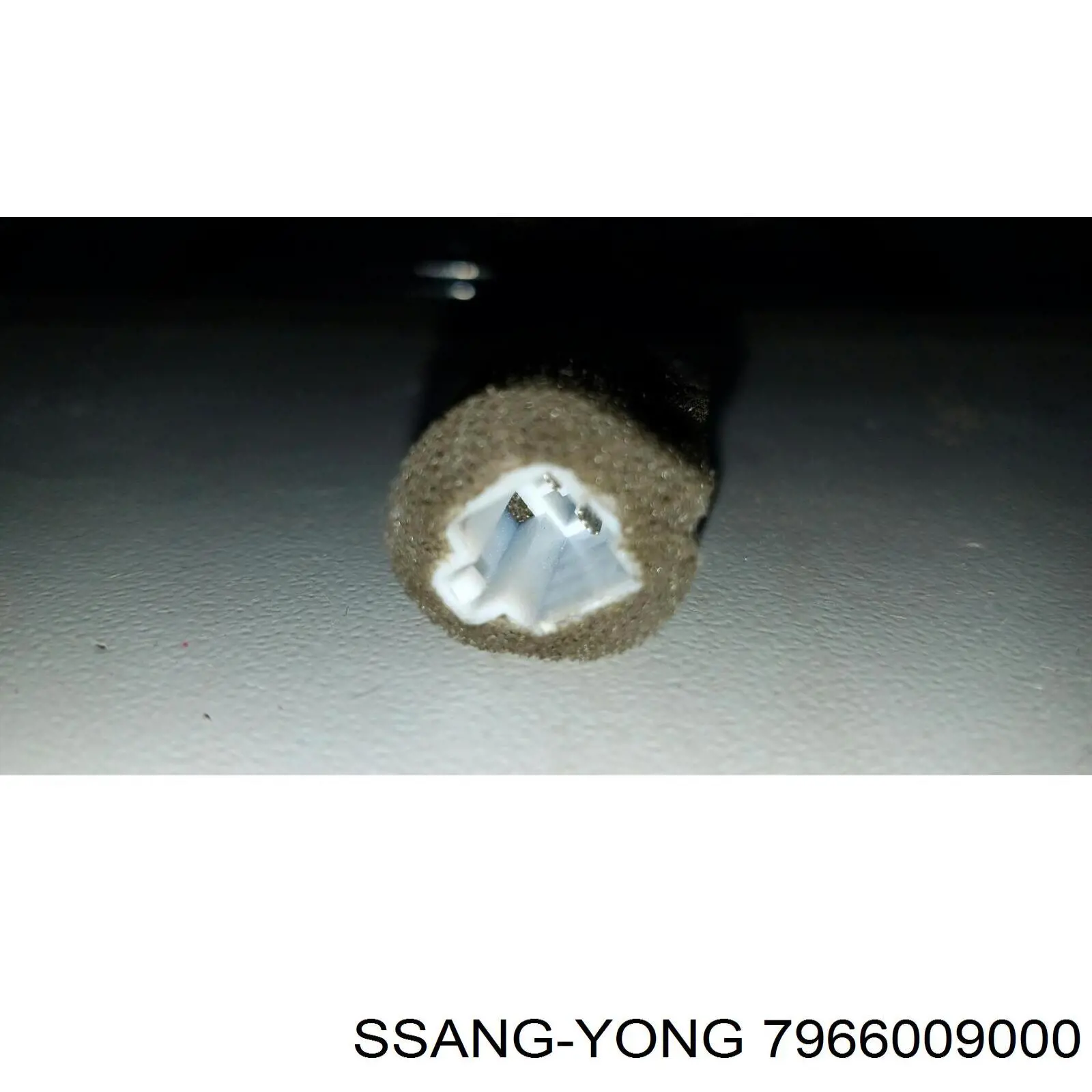 7966009000 Ssang Yong 